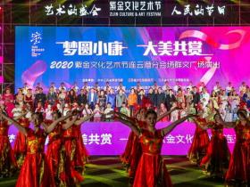 2020紫金文化艺术节连云港分会场群文广场演出精彩上演 